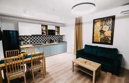 Apartament de lux! 2 camere, terasa, garaj, zona strazii C-tin Brancusi