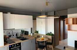 Apartament 2 camere, 46 mp, finisat, mobilat lux, garaj, zona Piata Abator