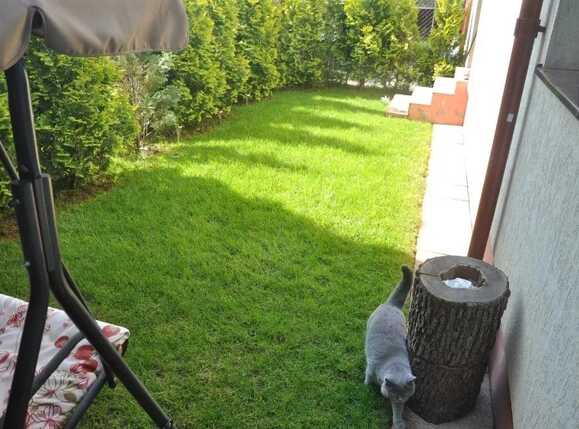 Apartament de închiriat 2 camere Grigorescu - 50164AI | BLITZ Cluj-Napoca | Poza5