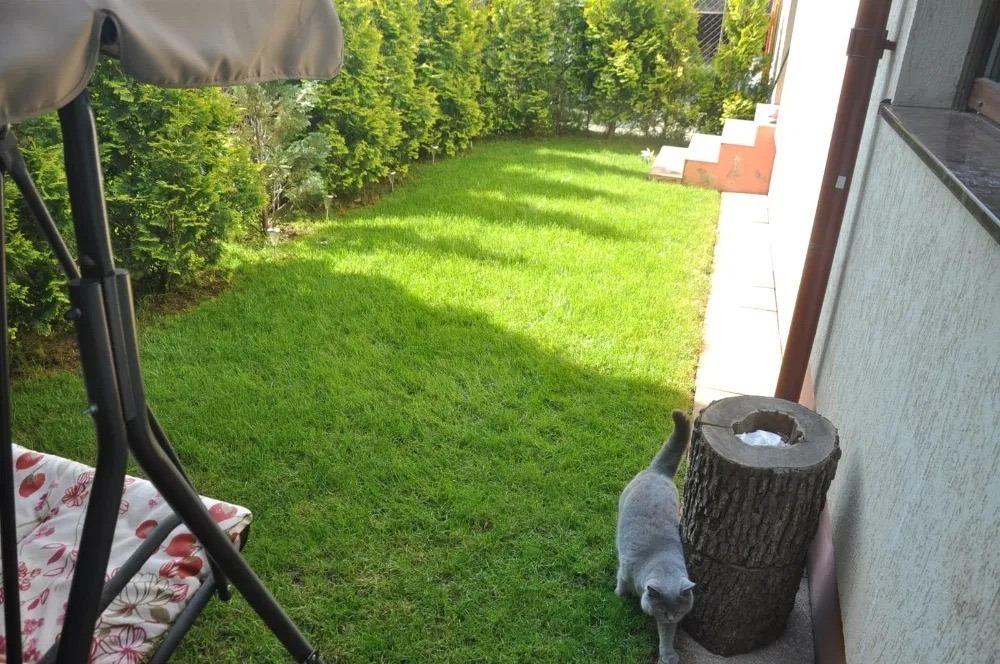 Apartament de închiriat 2 camere Grigorescu - 50164AI | BLITZ Cluj-Napoca | Poza5