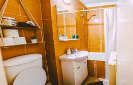 Apartament cu 1 camera, mobilat modern, cheltuieli incluse, 28 mp, zona strazii Bucegi