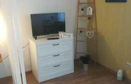 Apartament cu 1 camera, mobilat modern, cheltuieli incluse, 28 mp, zona strazii Bucegi