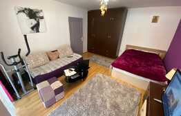 apartament cu 1 camera, 33 mp, mobilat utilat, gradina, zona Cetatii.