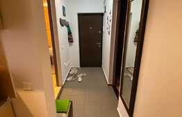 apartament cu 1 camera, 33 mp, mobilat utilat, gradina, zona Cetatii.