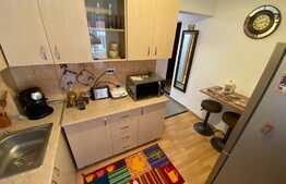 apartament cu 1 camera, 33 mp, mobilat utilat, gradina, zona Cetatii.