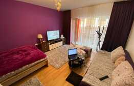 apartament cu 1 camera, 33 mp, mobilat utilat, gradina, zona Cetatii.