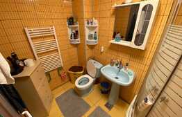 apartament cu 1 camera, 33 mp, mobilat utilat, gradina, zona Cetatii.