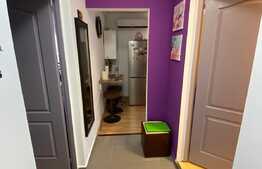 apartament cu 1 camera, 33 mp, mobilat utilat, gradina, zona Cetatii.