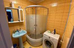 apartament cu 1 camera, 33 mp, mobilat utilat, gradina, zona Cetatii.