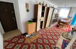 Apartament 3 camere, 58 mp,partial mobilat, zona Florilor