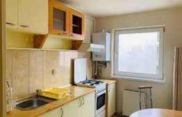 Apartament cu 2 camere, 40 mp, zona Iulius Mall