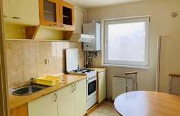 Apartament cu 2 camere, 40 mp, zona Iulius Mall