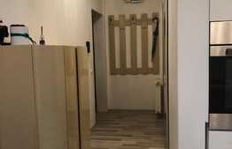 Apartament 2 camere, de vanzare, 45mp Buna Ziua