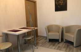 Apartament 2 camere, de vanzare, 45mp Buna Ziua