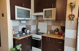 Apartament cu 1 camera, etaj intermediar, orientare sudica, 38 mp, zona Calea Floresti