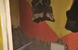 Investitie in Centrul Clujului! Afacere cu succes garantat! Openspace 72mp, zona P-ta Mihai Viteazul