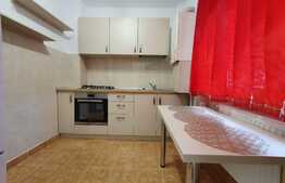 Apartament 2 camere, 50 mp, zona Pietei Mihai Viteazu