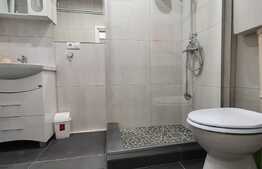 Apartament 2 camere, 50 mp, zona Pietei Mihai Viteazu