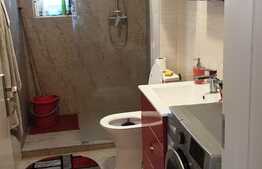 Apartamentul tau in vila, 87 mp, finisat, garaj, boxa, zona Europa