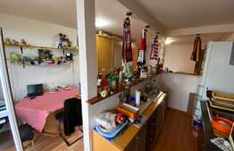 Apartament cu 2 camere, 51 mp, partial mobilat, zona Cetatii.