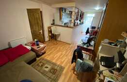 Apartament cu 2 camere, 51 mp, partial mobilat, zona Cetatii.