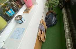 Apartament cu 2 camere, 51 mp, partial mobilat, zona Cetatii.