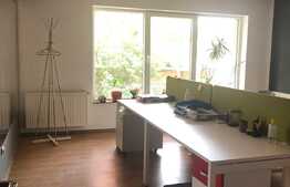 Birouri in zona foarte buna cu acces facil. 