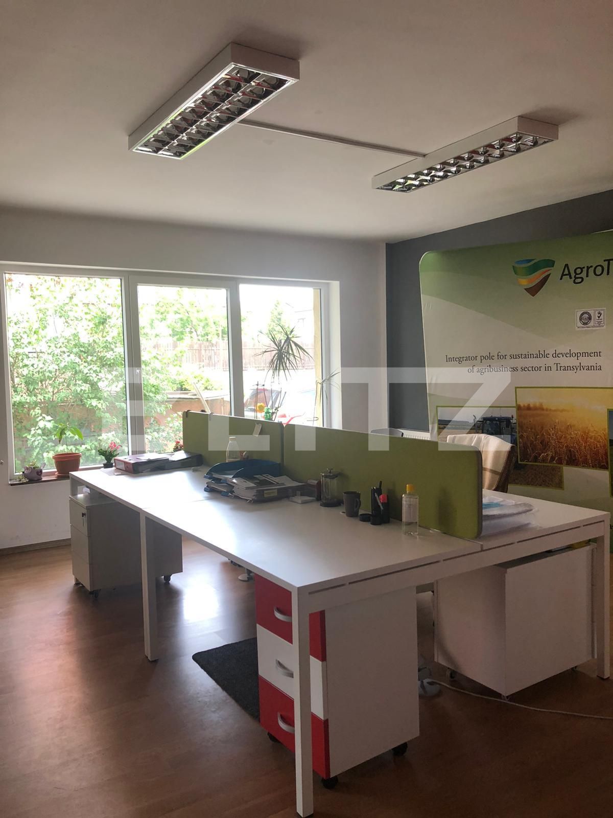 Spațiu birouri de închiriat Bună Ziua - 50291SIB | BLITZ Cluj-Napoca | Poza8