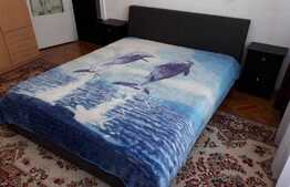 De vanzare apartament cu 2 camere, decomandat, 44 mp, zona Kaufland Marasti