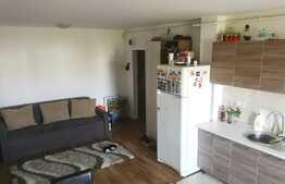 2 camere, 46 mp., zona Eroilor