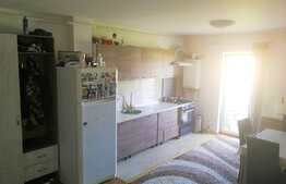 2 camere, 46 mp., zona Eroilor
