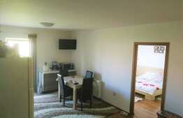 2 camere, 46 mp., zona Eroilor