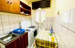 Apartament cu 1 camera, decomandat, 30 mp, in zona strazii Muncitorilor