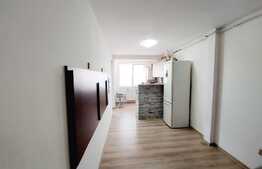 Apartament 2 camere, etaj 1, zona Teilor!