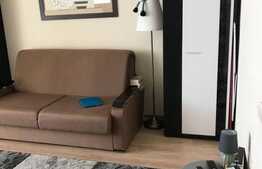 Apartament cu 1 camera, decomandat, 30 mp , in zona strazi Bucegi 