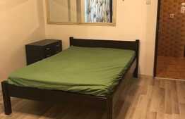 Apartemant cu 1 camera, decomandat, 40 mp, zona strazii Bizusa