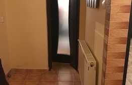 Apartemant cu 1 camera, decomandat, 40 mp, zona strazii Bizusa