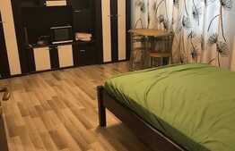 Apartemant cu 1 camera, decomandat, 40 mp, zona strazii Bizusa