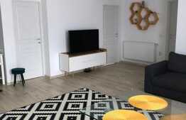 Apartament cu 3 camere,65 mp, modern, Cat friendly, zona Borhanci