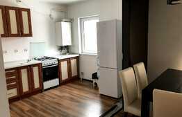 2 camere, 52 mp, zona Muzeul Apei