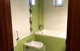 2 camere, 52 mp, zona Muzeul Apei