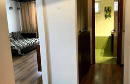 2 camere, 52 mp, zona Muzeul Apei