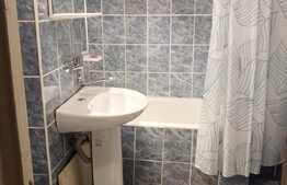 Garsoniera, 30 mp, decomandata, zona Profi