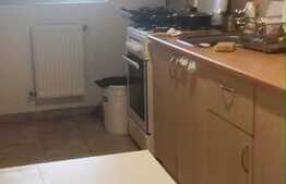 Apartament 1 camera, 40 mp, zona Mall Platinia