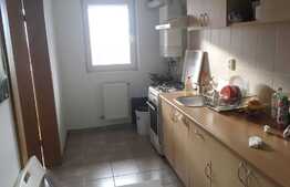 Apartament 1 camera, 40 mp, zona Mall Platinia