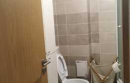Apartament 1 camera, 40 mp, zona Mall Platinia