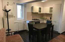 Apartament 2 camere, 41 mp, imobil nou, zona USAMV