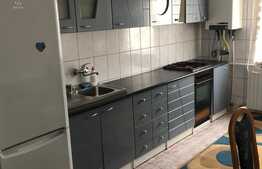 2 camere, 60 mp, decomandate, mobilat, zona strazii Gorunului