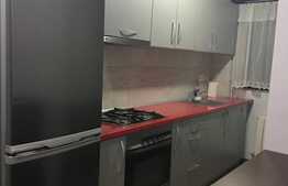 3 camere, 55 mp, decomandat, pet friendly, zona Casa Piratilor