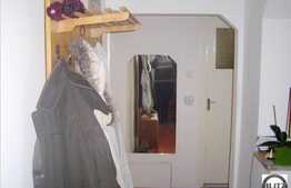 Apartament 2 camere, 54 mp utili la 4 minute de Iulius Mall